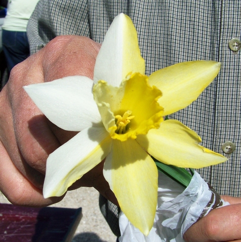 Joy with his unusual daffodil