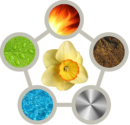 Daffodil Elements