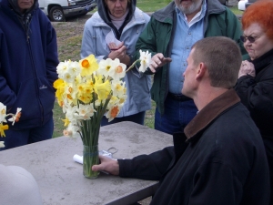 Tim brought his Daffodils for inspection